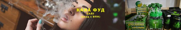 шишки Бронницы