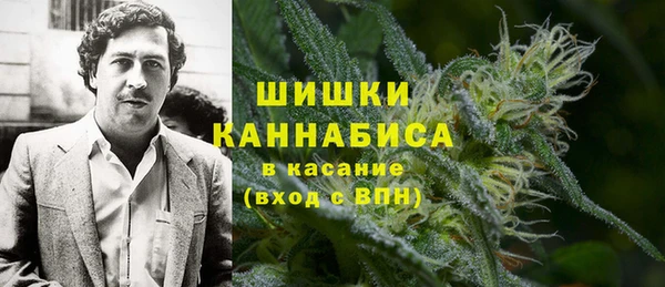 шишки Бронницы
