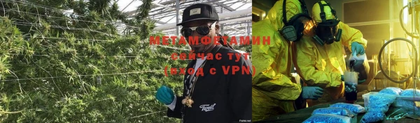 шишки Бронницы