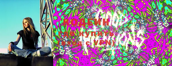 шишки Бронницы