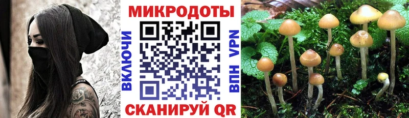 Галлюциногенные грибы Magic Shrooms  Грайворон 