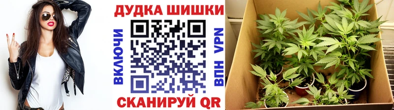 Конопля семена Грайворон